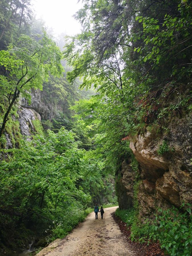 Mountain Lodge Rîşnov Εξωτερικό φωτογραφία