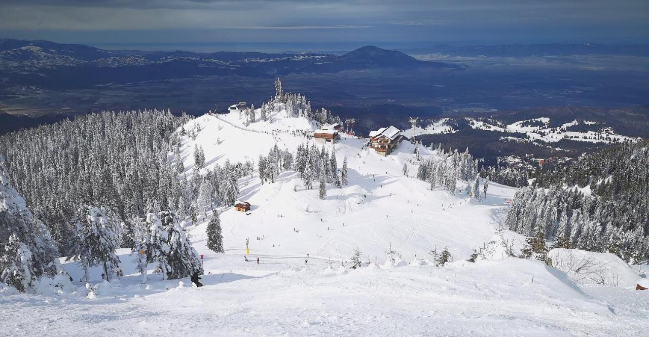 Mountain Lodge Rîşnov Εξωτερικό φωτογραφία
