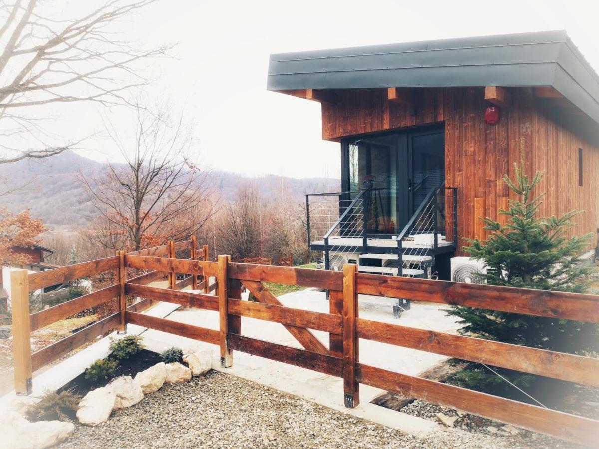Mountain Lodge Rîşnov Εξωτερικό φωτογραφία