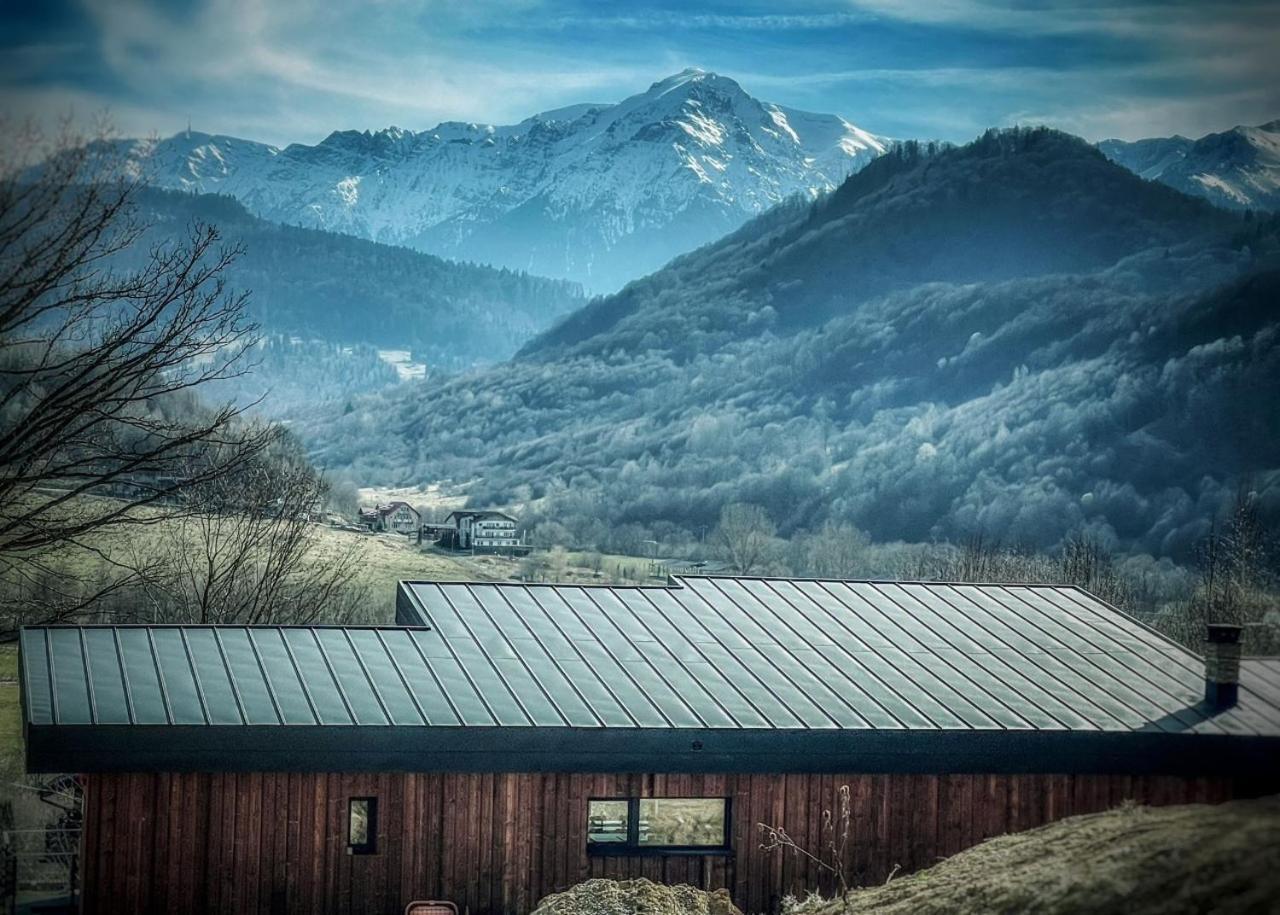 Mountain Lodge Rîşnov Εξωτερικό φωτογραφία